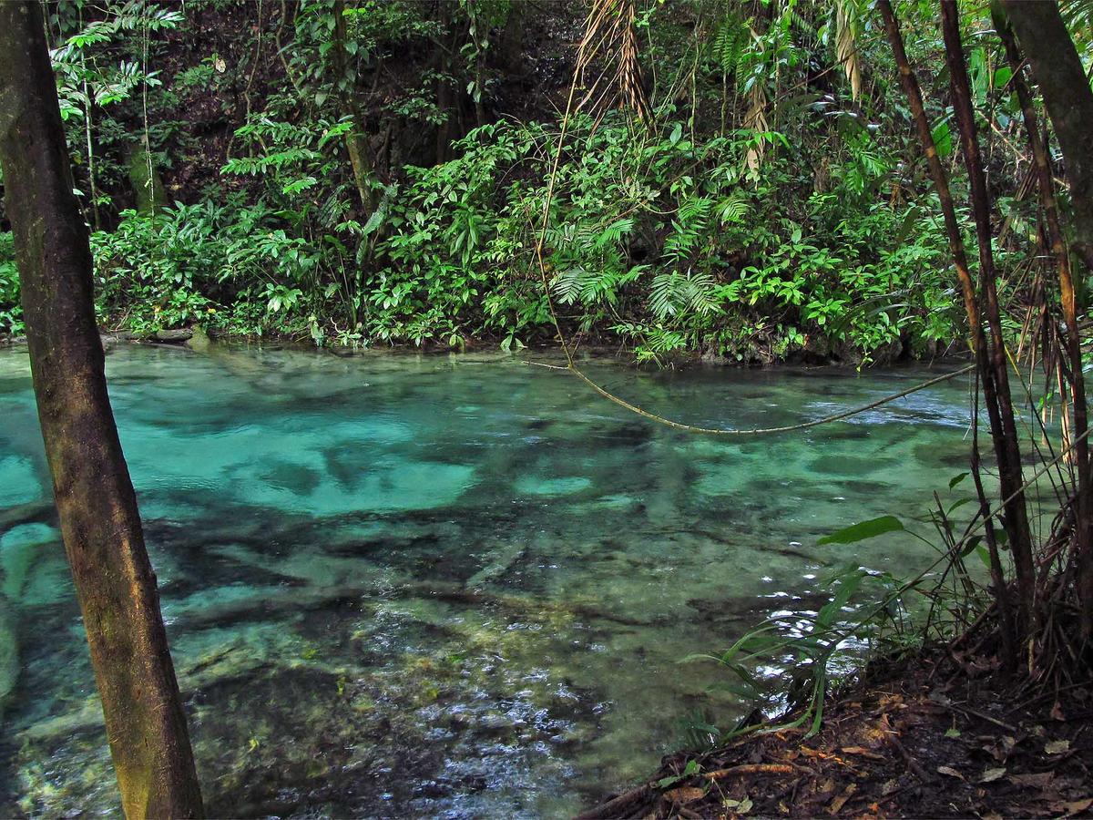 Campamento Rio Lacanjá Exterior foto